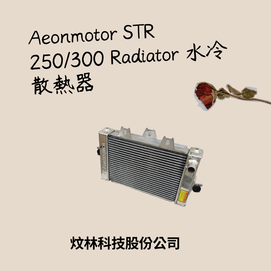 新聞圖片：【新品發表】Aeonmotor STR 250/300 改裝加大水箱正式登場！