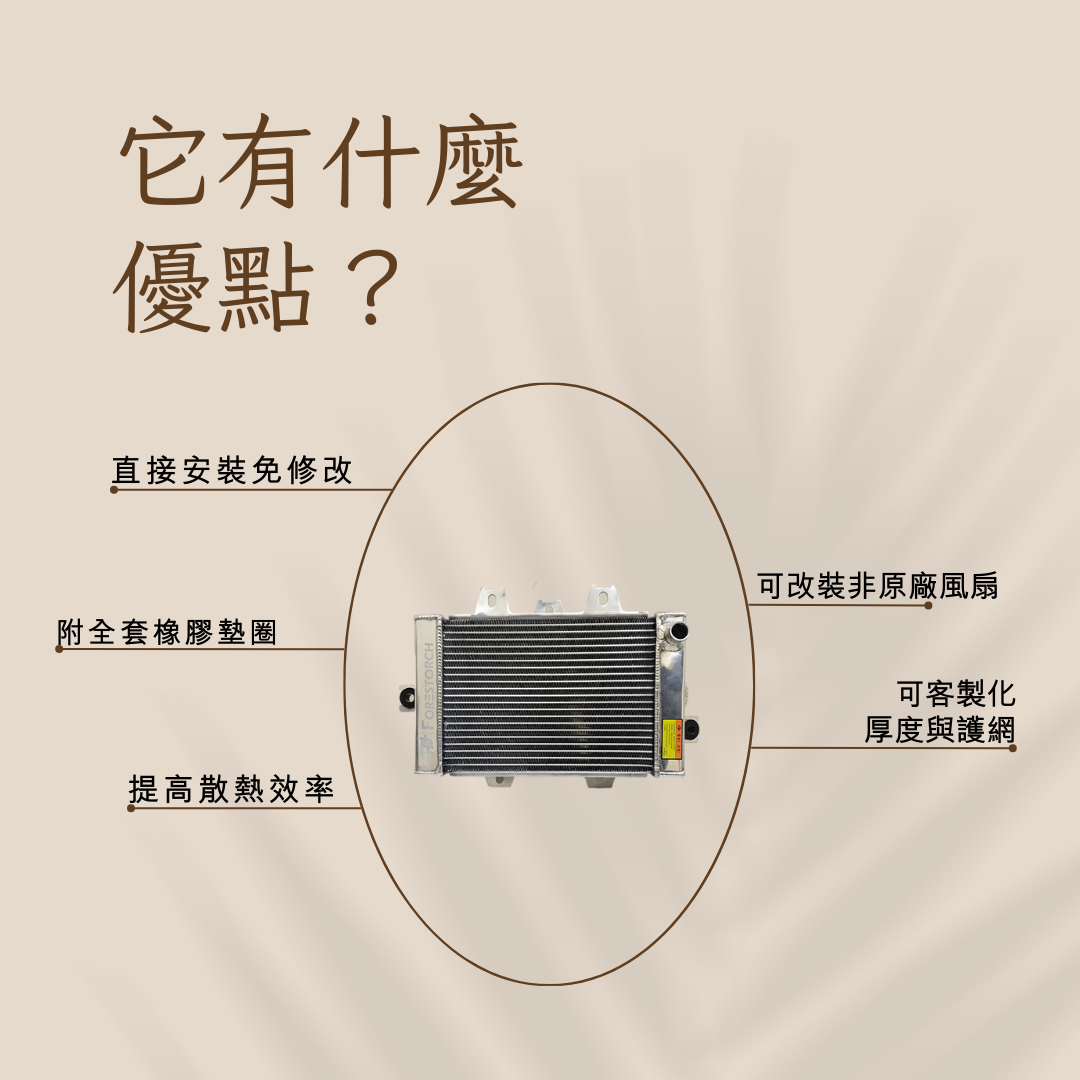 【Aeonmotor】宏佳騰 STR 250/300 專用全鋁合金加大水冷散熱器 - 2