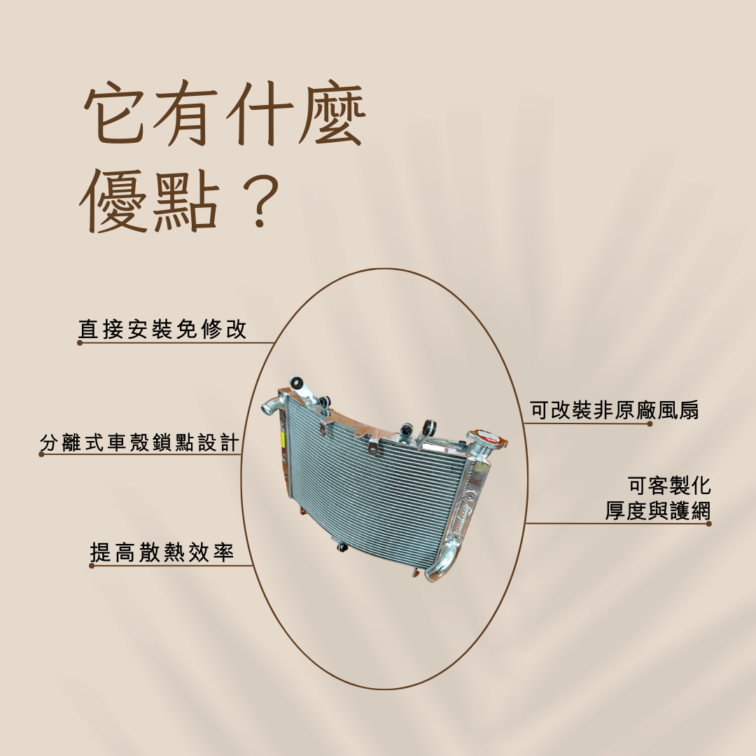 YAMAHA YZF-R6 改裝 全鋁加厚加大水箱 水冷散熱器 - 2