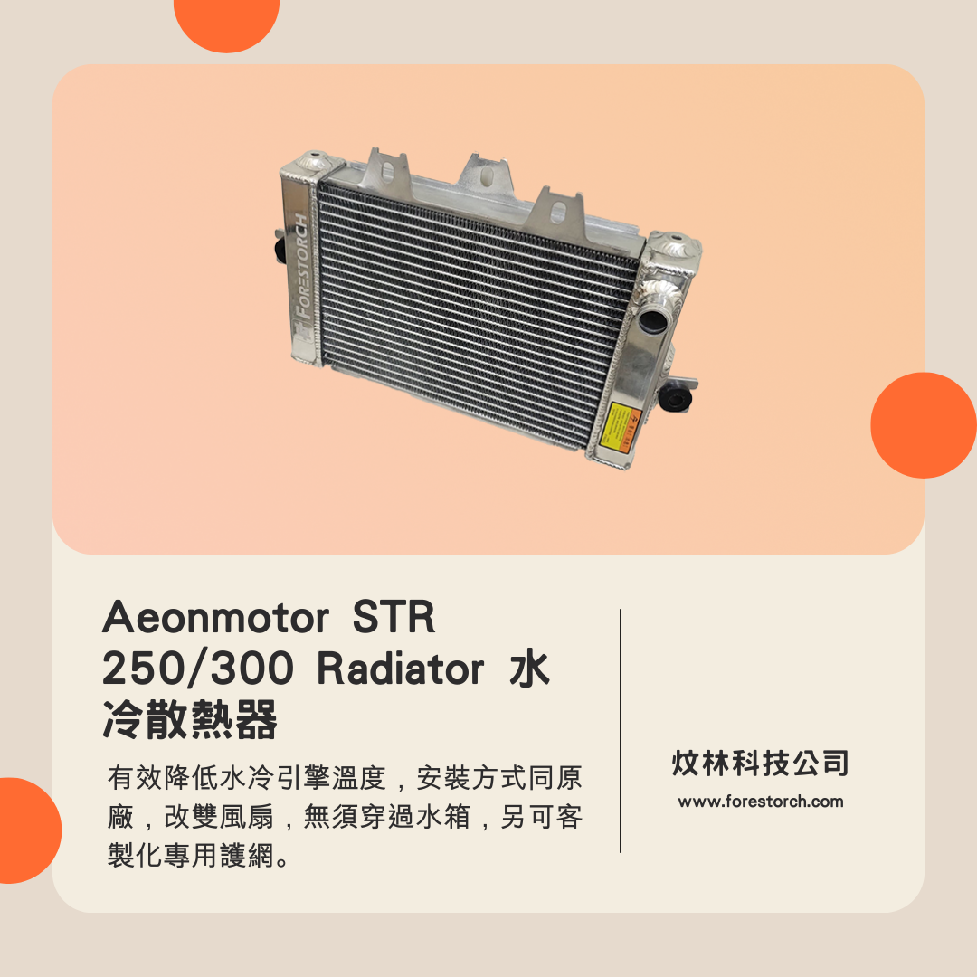 【Aeonmotor】宏佳騰 STR 250/300 專用全鋁合金加大水冷散熱器 - 3