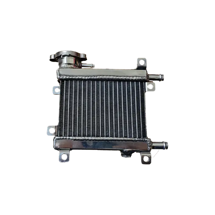 BW'S 客製化 化油車改裝水箱 BW'S 客製化 化油車改裝水箱