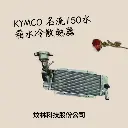 【炆林】光陽 KYMCO 名流150 FREEWAY150 水箱水冷排散熱器