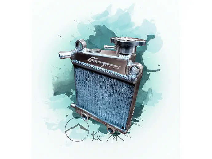【Forestorch】YAMAHA CYGNUS GRYPHUS BWS force2.0 Racing style thickness modification Radiator