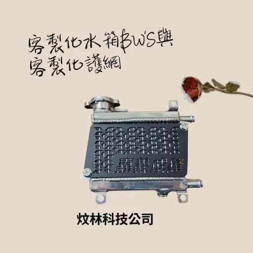 【炆林】三葉 YAMAHA BW'S 化油版 改裝水箱 側掛曲軸風扇